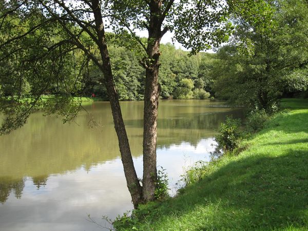 Kuhschwanzteich.jpg