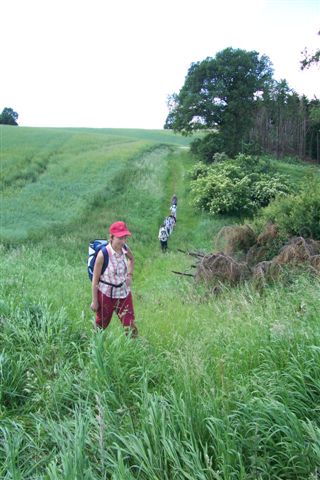 Wiesenweg0509.jpg