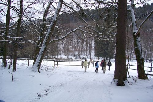 Hintertaunus1.jpg