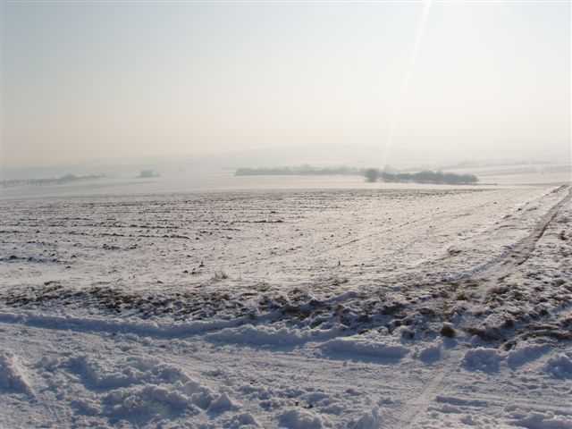 FeldSchneeJan09.jpg