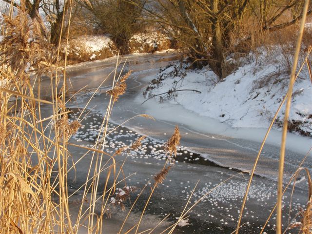 FlussbiegungEisJan09.jpg