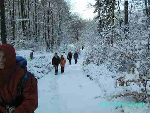 not found: 080203-3.jpg