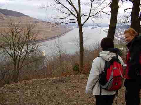 not found: Binger_Wald030.jpg
