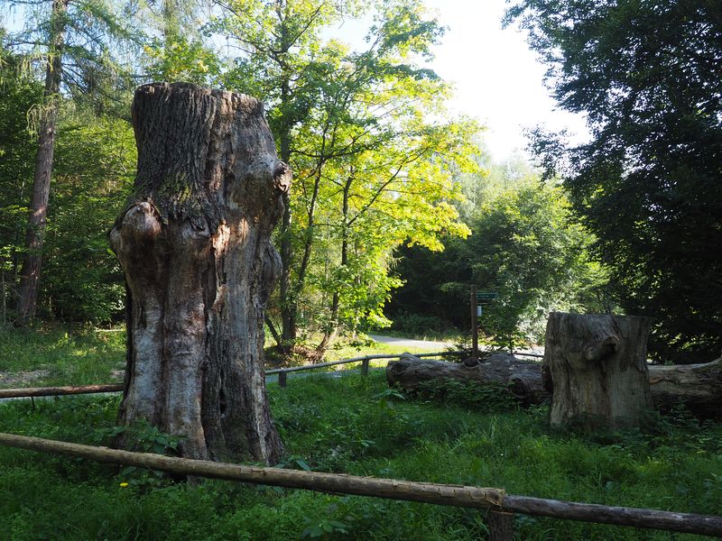 not found: Kapersburg-10.jpg